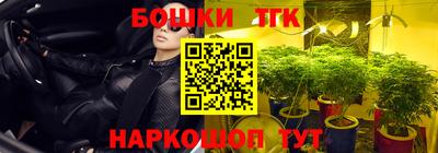 тгк Аша